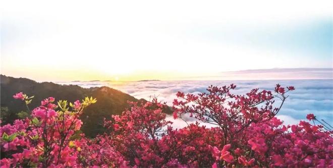 龟峰山景区